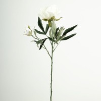Artplants Kunststoff Zweig Pfingstrose Galene, Weiß-Lila, 65Cm, Ø10Cm