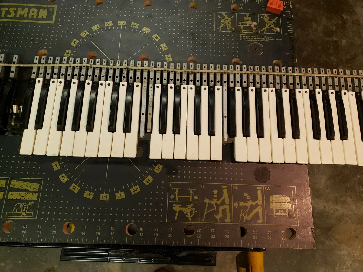Moog 2024 synthesizer ebay