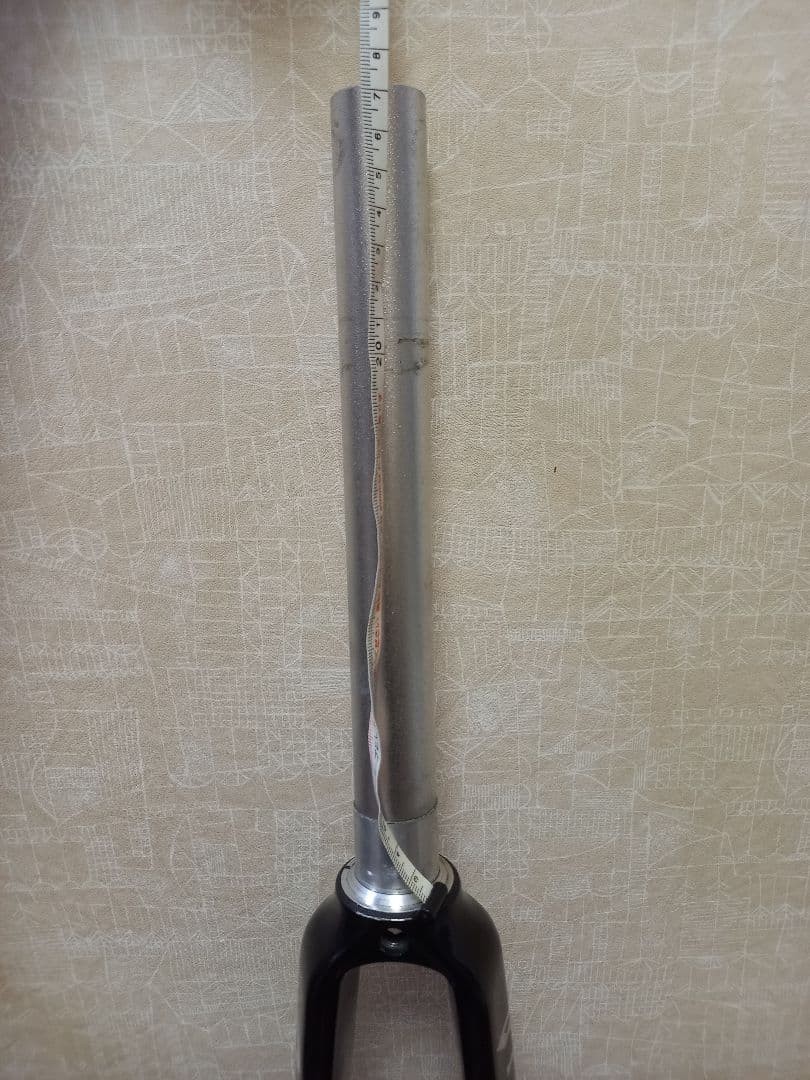 Alpina Alpina Full Carbon Road Fork Piste | eBay