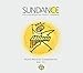 VARIOUS ARTISTS, Vol. 13-Sundance: Stunt Records Co, Audio CD