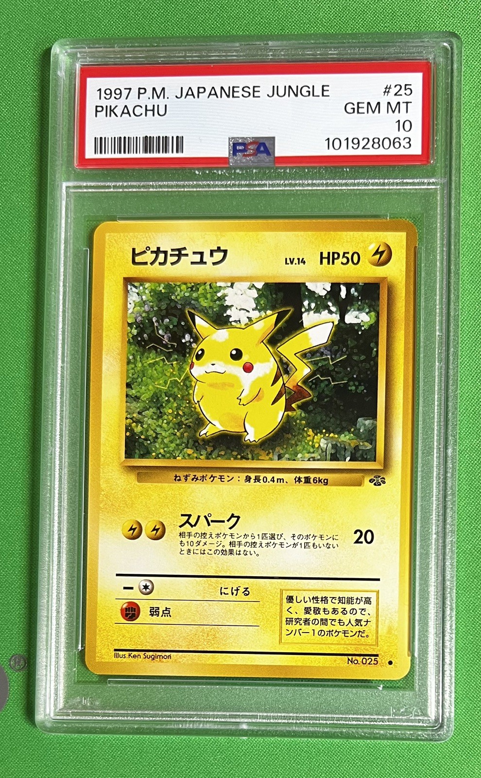 Pikachu 1997 Japanese Jungle #025 Base Price Guide - Sports Card