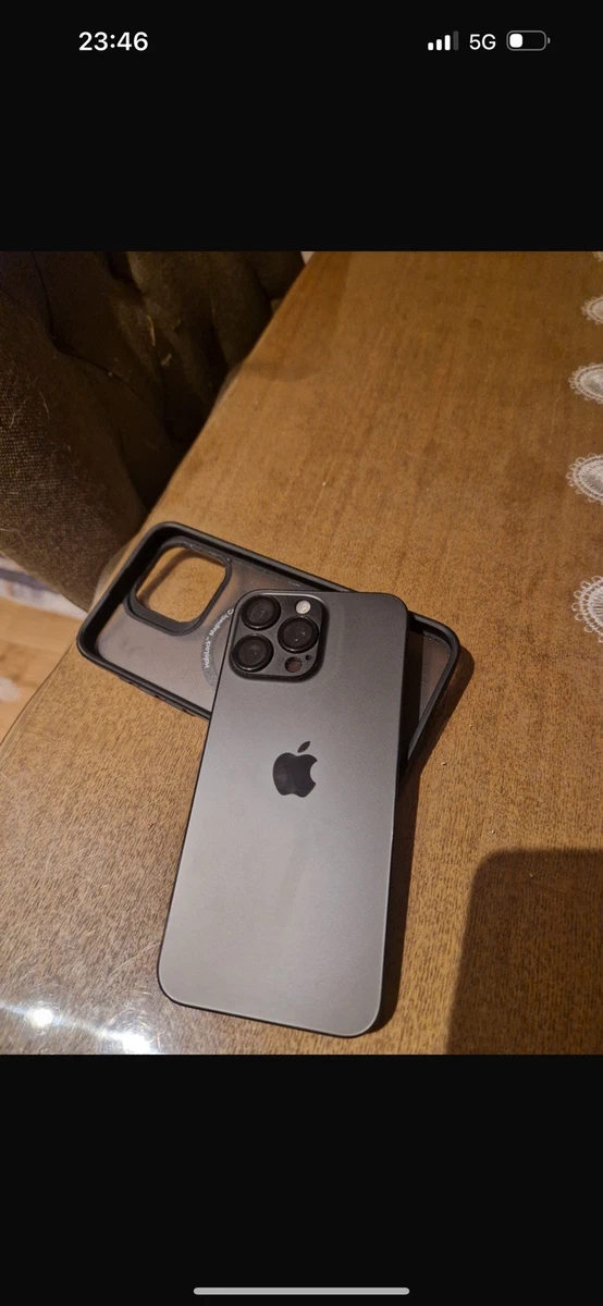 iPhone 15 Pro Max 256GB online kaufen | eBay