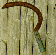 BARN FRESH WOOD HANDLE SICKLE SKYTHE RUST OLD TIMEY TOOL GARDEN SHED CIRCA 1940s