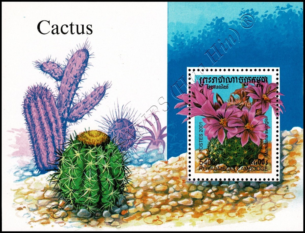 Cacti (289A) (MNH) | eBay