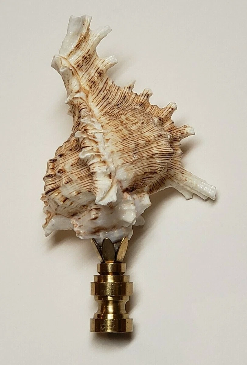 SEASHELL LAMP FINIAL 3 1 4