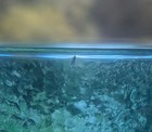 Foto 7 di 7