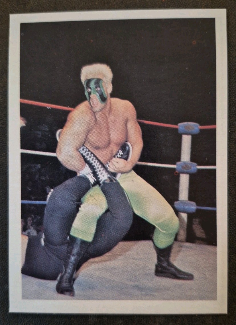 STING 1987 Wonderama NWA Supercards TEST MARKET RUN #17 SUPER RARE  TRUE RC Read