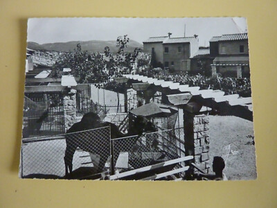 Alte Postkarte - CPA - Bandol Bandor - Insel (Paul) RICARD La ménagerie