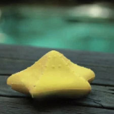 Aqua Select® Starfish Sponges Oil and Lotion Absorber