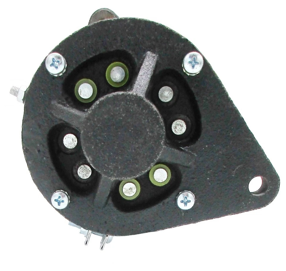 Dynastarter für BCS Ruggerini Hirt Innocenti ACME Ferrari Landwirtschaft - Bild 2 von 4