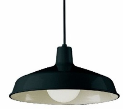 2-Pack Trans Globe Lighting 1-Light Black Pendant Fixtures E26 Lamp 15.5''W