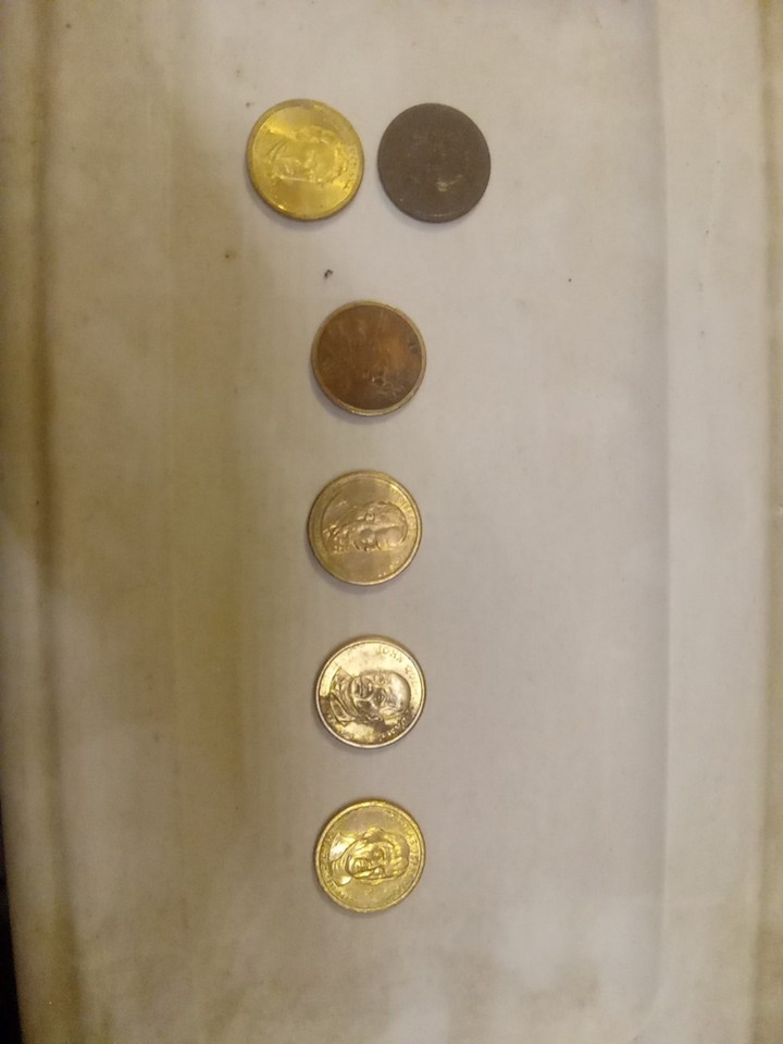 Lot Of 6 Gold Dollars | eBay