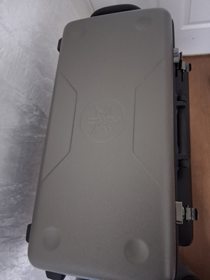 #ad Yamaha YAS 475 Intermediate Eb Alto Saxophone Gold Lacquer w Hard Case $1020.00