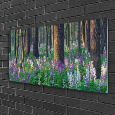 Glasbilder 100x50 Wandbild Druck auf Glas Wald Natur