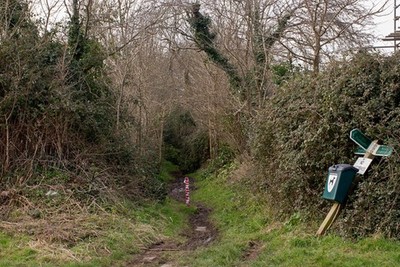 Photo 12x8 A footpath heading west towards Penhill and Muddlebridge Combre c2017