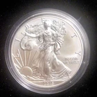 2015 American Silver Eagle 1oz .999 Fine Silver Coin $1 USA Bullion Uncirculated