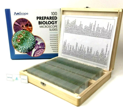 AmScope PS100A Prepared Microscope Slide Set for Basic Biological Science Edu.