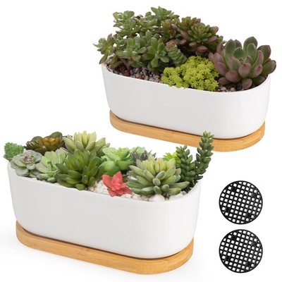 White Ceramic Succulent Planters with Drainage - Set of 2 Small Pots
