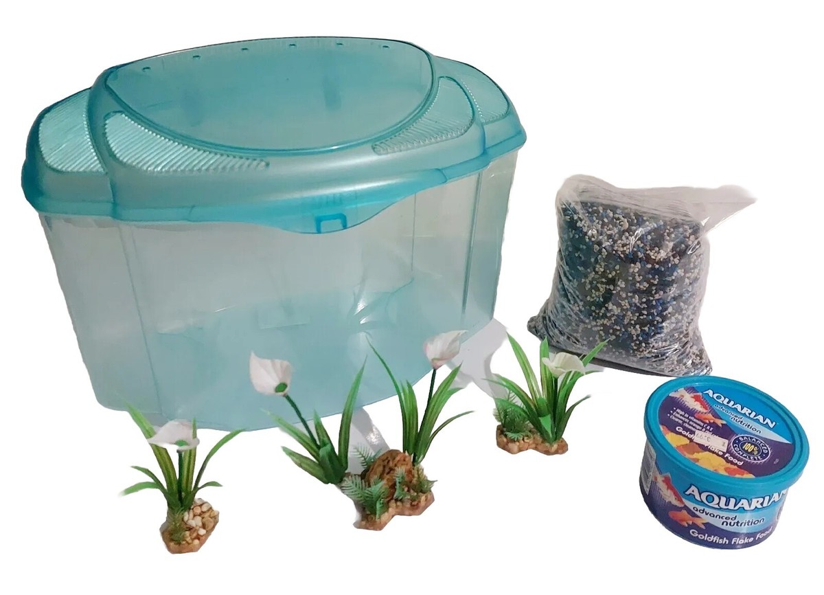 View of Pictures Of Small Goldfish In A Container How To Safely Transport Your