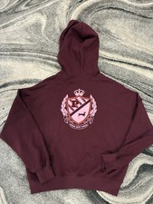 New Victoria s Secret Pink Pull Over Hoodie L Varsity Ivy Logo NWT