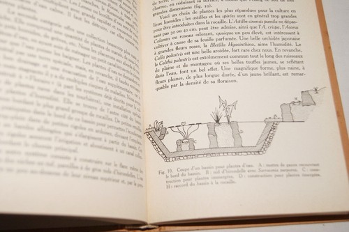 ROCAILLES FLEURIES CORREVON ILLUSTRE 1947 BOTANIQUE - Picture 3 of 4