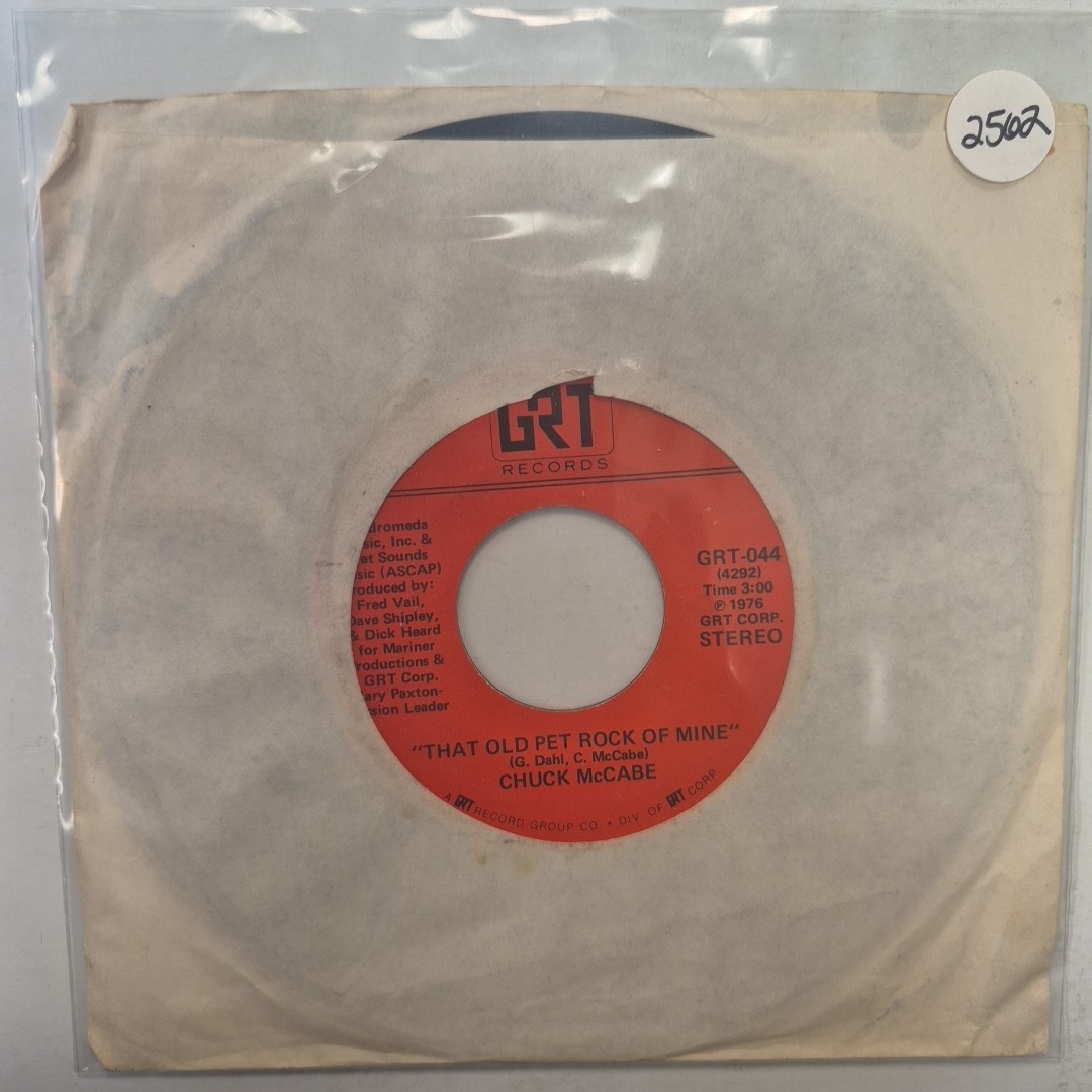 Chuck McCabe That Old Pet Rock of Mine 7