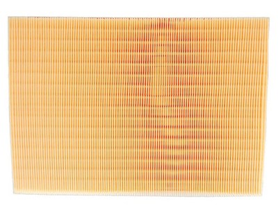 Air Filter PTC PA5823