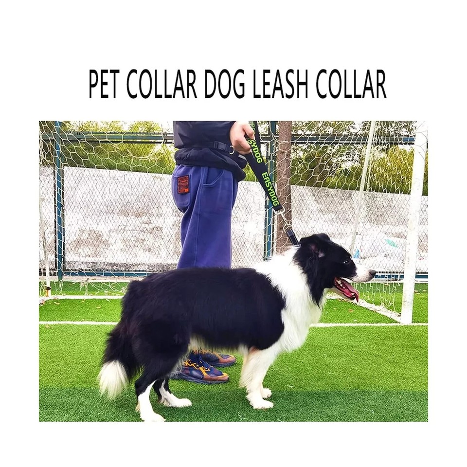 Dog Leash and Collar Set with Comfortable Padded Handle for MEDIUM