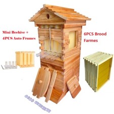 New Auto Wooden Beekeeping Beehive House Box +10PCS Honey Bee Comb Hive Frames