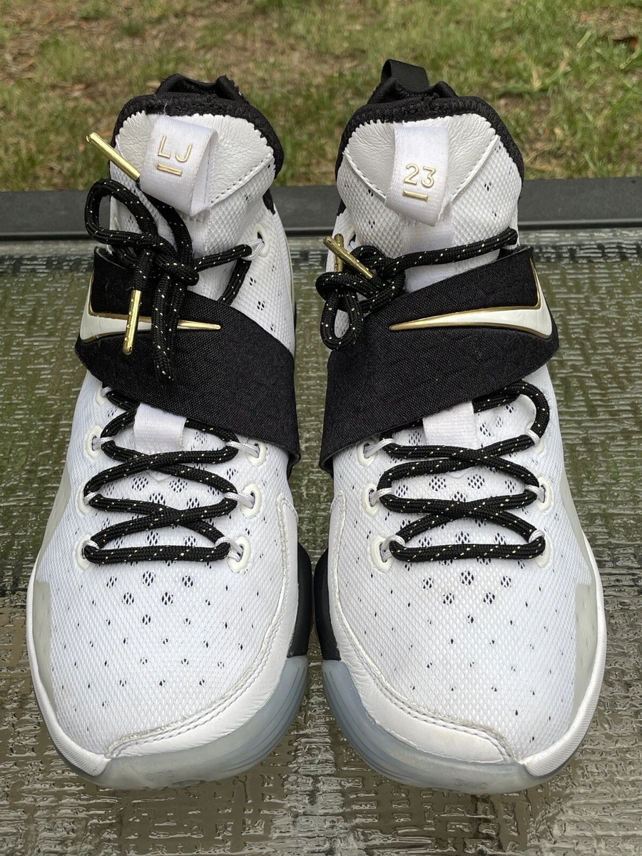 Lebron 14 online zapatos