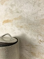 Newroom Vliestapete Beige Glitzer Metallic Modern Glamour Wohnzimmer Elegant