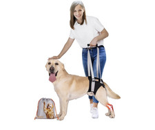 Dog Lift Harness for Medium Dogs, Dog Sling For Back Legs, with Handle New