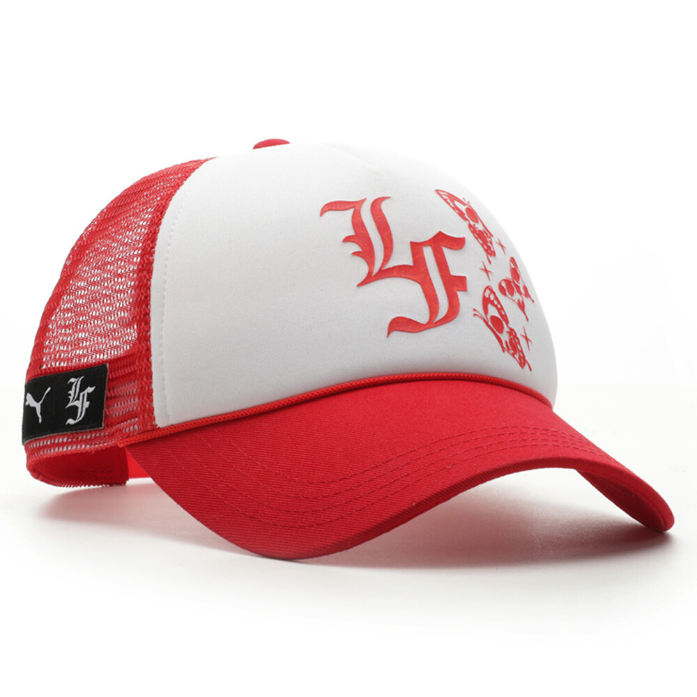 Puma Adjustable Cap X Lf Mens Size OSFA  Athletic Casual 85985501