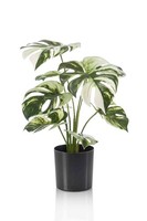 Artplants KüNstlicher Philodendron Monstera Deliciosa Zaine, GrüN-Weiß, 40Cm