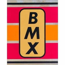 1980-81 Mongoose Motomag Gold head tube decal