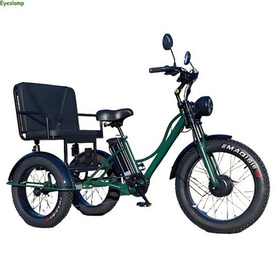 24 Zoll elektrisches Schneedreirad 750W 48V18A E-Dreirad 2 Personen mit Rücksitz