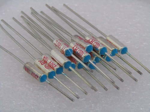 RY Fuse Temperature Thermal 250V 10A 160C 320F Axial 10 amp 160°C 320°F TF 160 - 第 17/22 張圖片