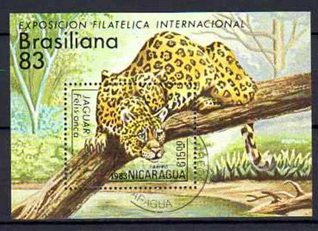 Animaux Félins Nicaragua 1983 (24) bloc Yvert n° 160 oblitéré used - Photo 1/1