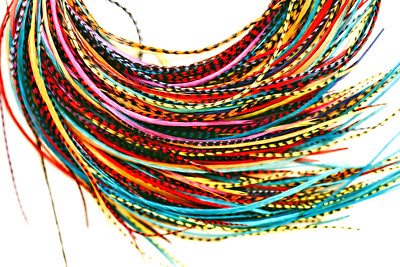 200 pcs. Rainbow & Grizzly 2-8''  Pro Grade Whiting Farms FLY TYING feathers