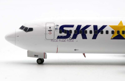 み*し様 JCWings スカイマーク B737-800 JA73NX 1/20 み*し様 JCWings スカイマーク B737-800 JA73NX 1/20 - メルカリ