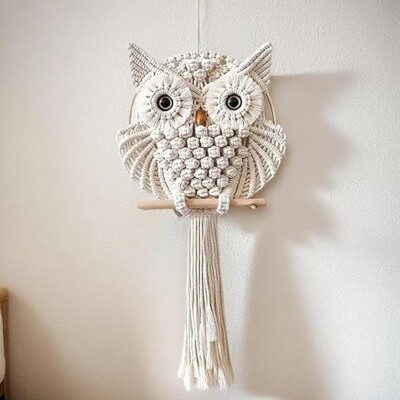Macrame Owl Wall Hanging Chic Home Décor Natural Elements Rustic Accent for Home