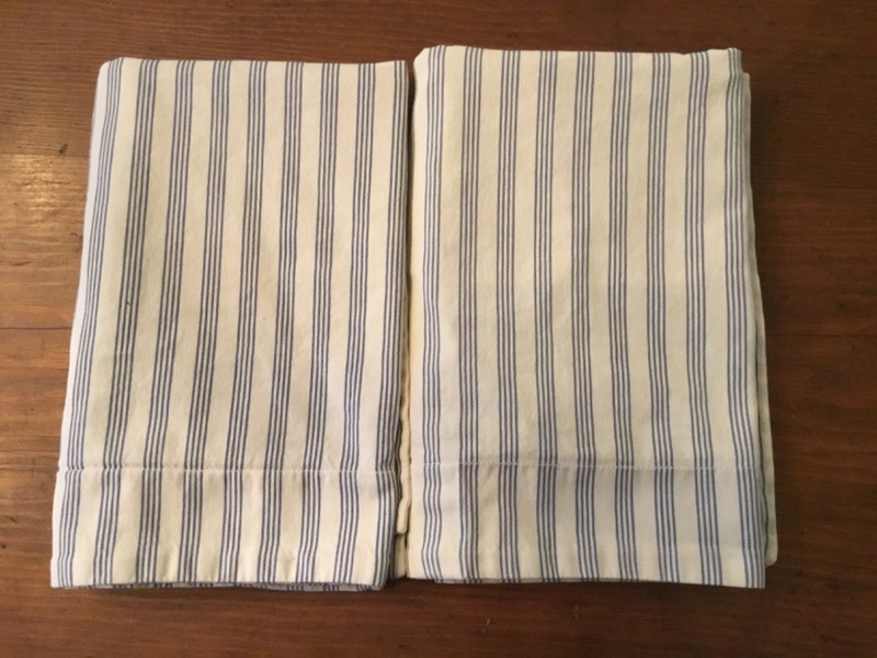 2 Pottery Barn Standard Pillow Shams
