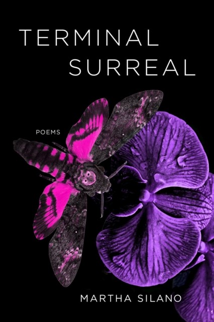 Terminal Surreal by Martha Silano PAPERBACK 9781946724946