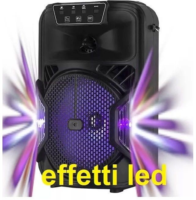 Recensione Cassa Bluetooth 8" Ricaricabile: Potenza e LED USB