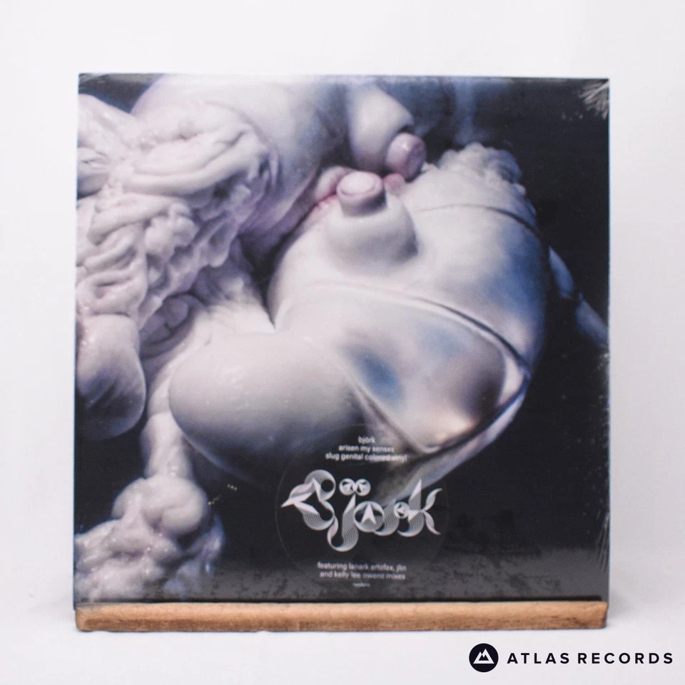 Björk Arisen My Senses Slug Genital Coloured 12" Single Vinyl Record - NEW - Image 2 of 4