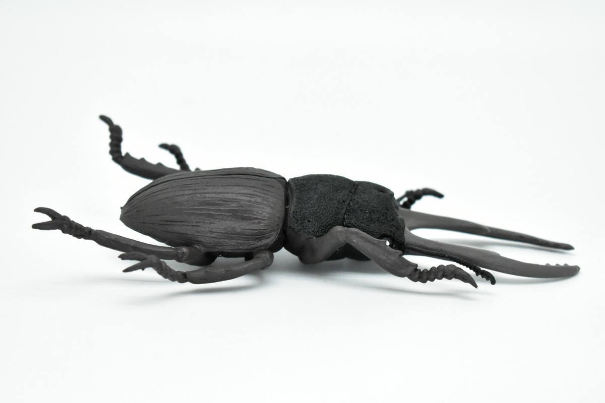 Beetle, Giant Stag, Very Nice Rubber Replica 6
