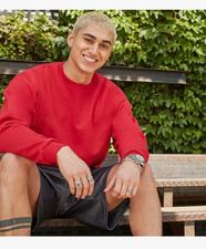 Hanes Ultimate Men's Sweatshirt FREE SHIPPING Large Many colors available.