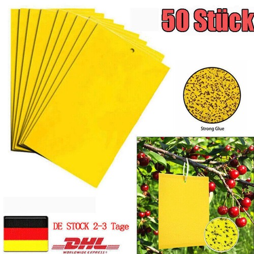 50 Stück Gelbfalle Klebrige Insektenfallen KirschmadenFalle Gelbtafeln Fliegen - Bild 5 von 19