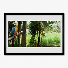 100x70 Cornice di legno MDF con foto incorniciate Alberi pappagallo Decorazione