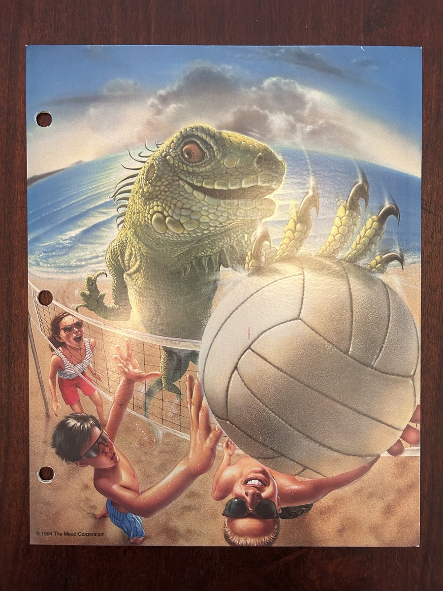 Vintage 90s Mead No Rules Folder Iguana/Volleyball - Never Used
